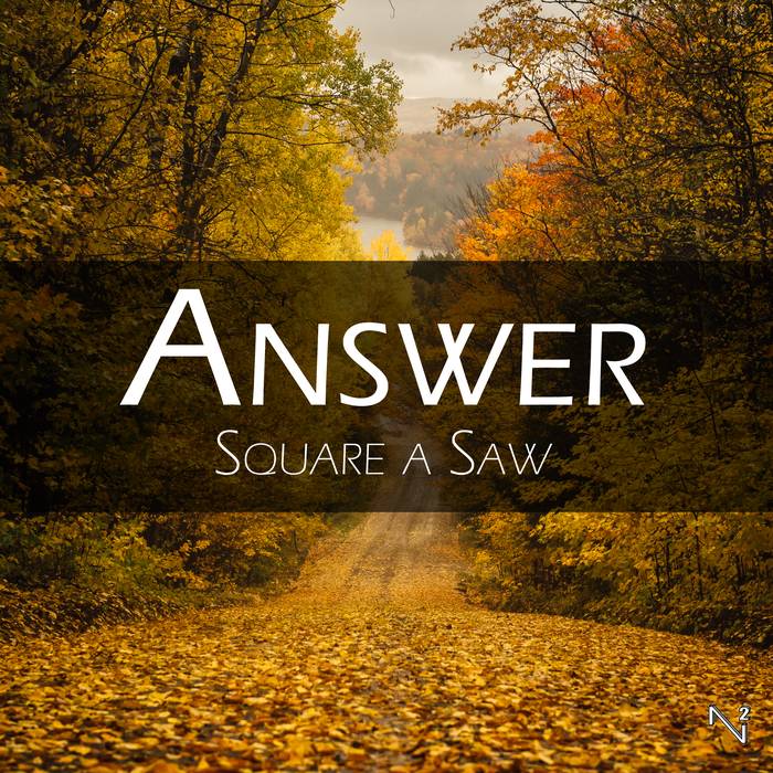 Answer cover art