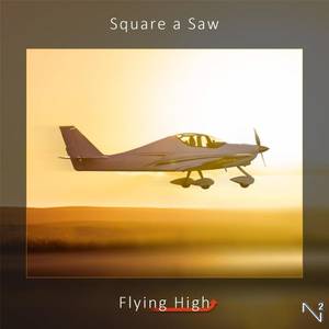 Flying High cover art