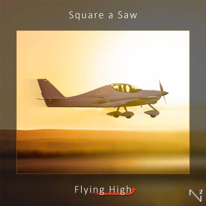 Flying High cover art